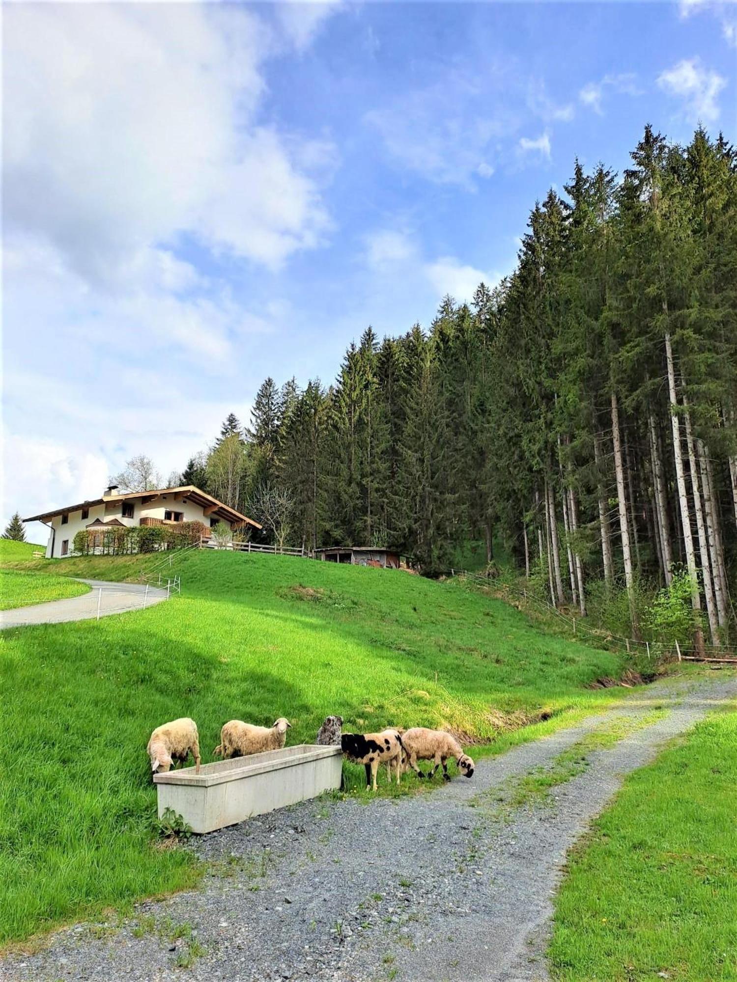 Ferienhaus Hansl Prama Luaran gambar