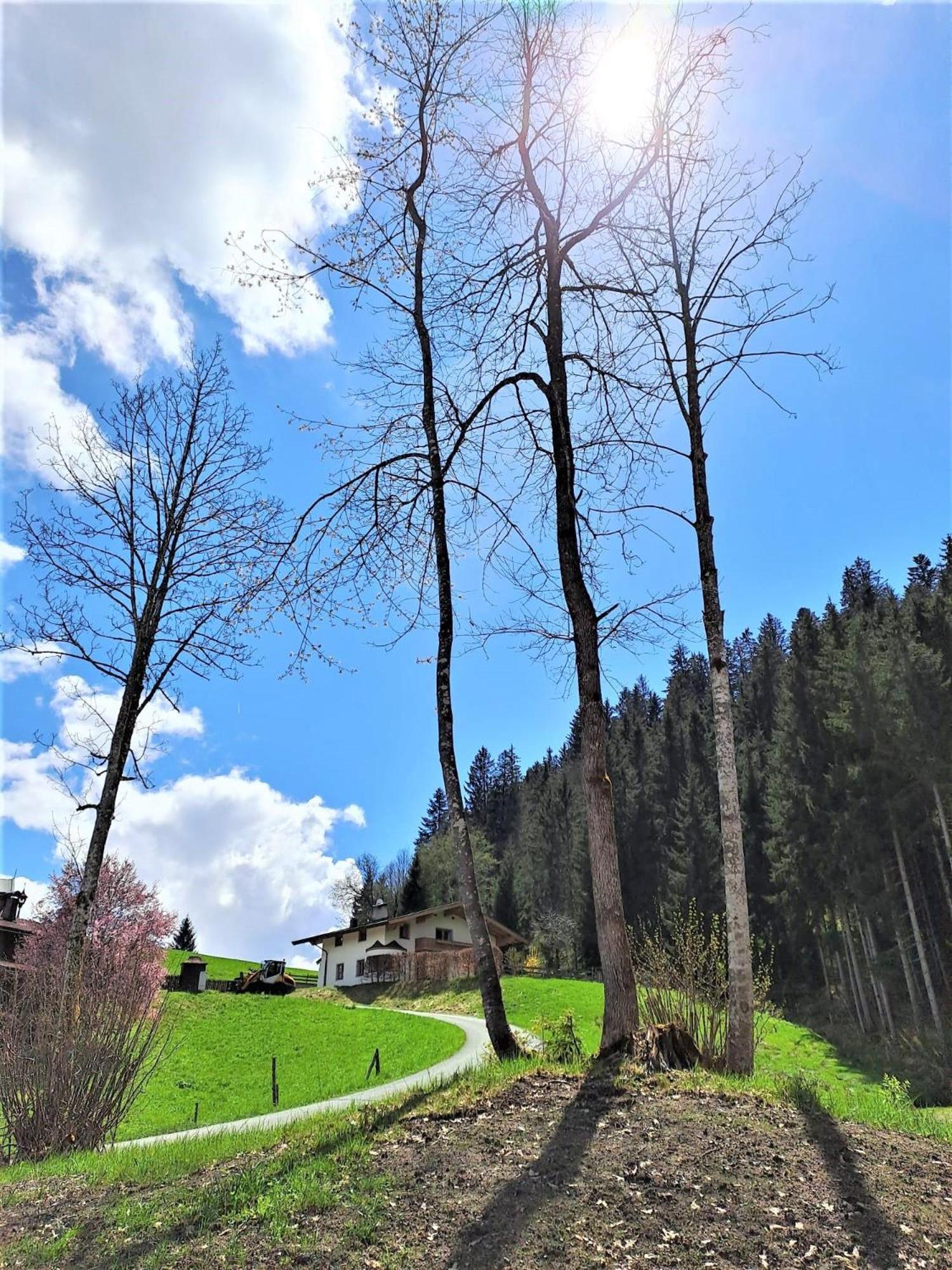 Ferienhaus Hansl Prama Luaran gambar